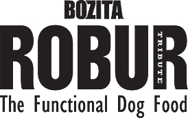 Bozita Robur